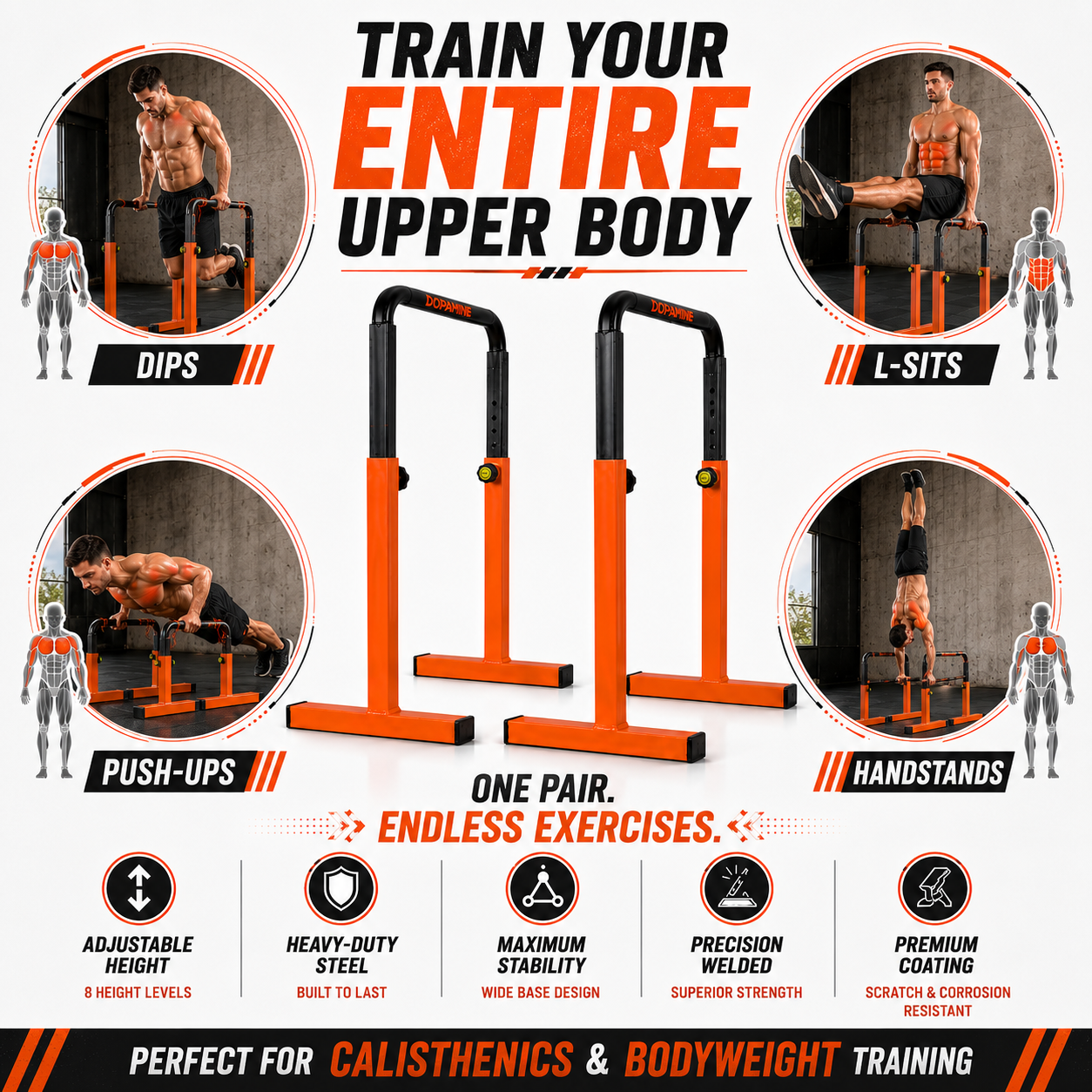 Free-Standing Adjustable Parallel Bars