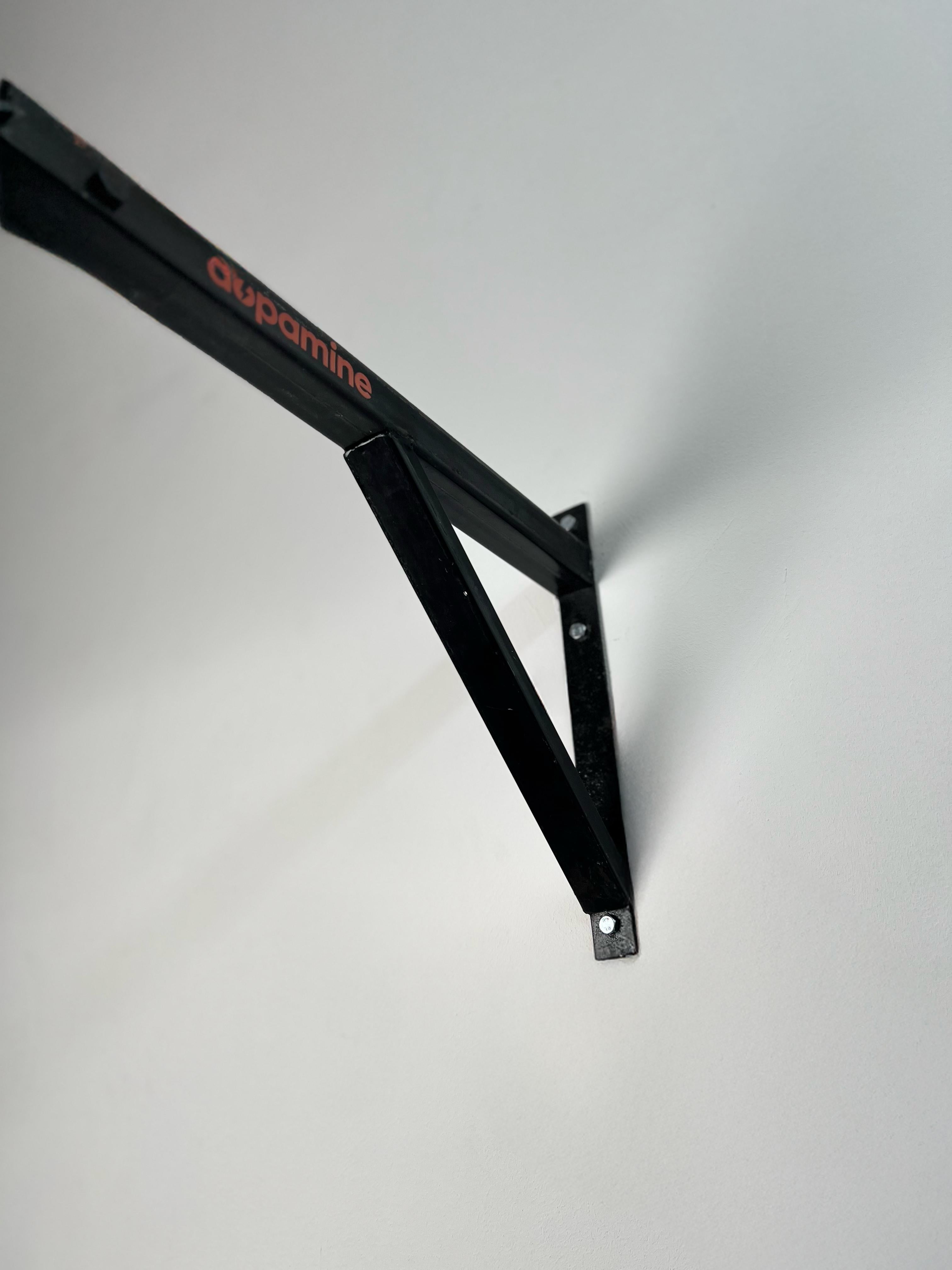 calisthenics pull up bar